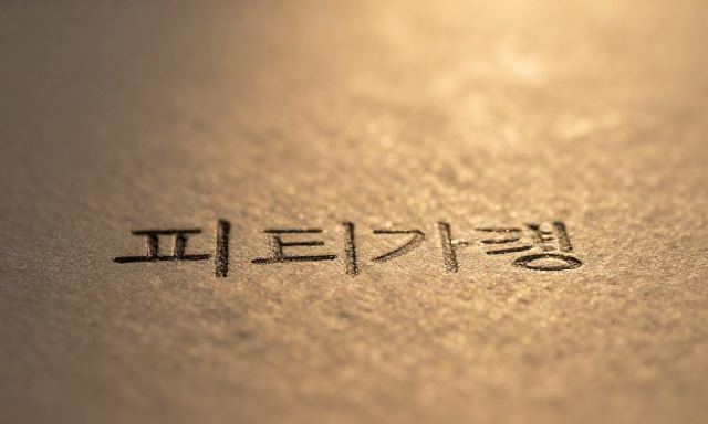 피티가격 관련 이미지 - 피티가격, 단순히 숫자가 아닌 '가치'를 따져보아야 하는 이유