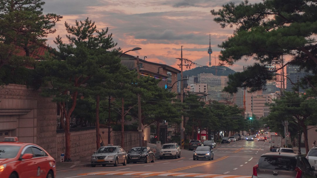 자세교정운동 참고 이미지 2